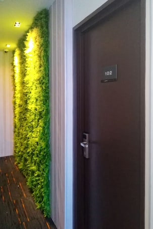 Hallway. The Loft Plaza Hotel