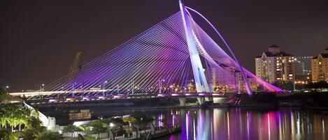 A modern bridge with a unique design, featuring multiple cables and illuminated at night.