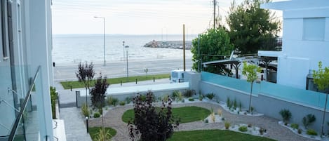 Vista desde la habitación
