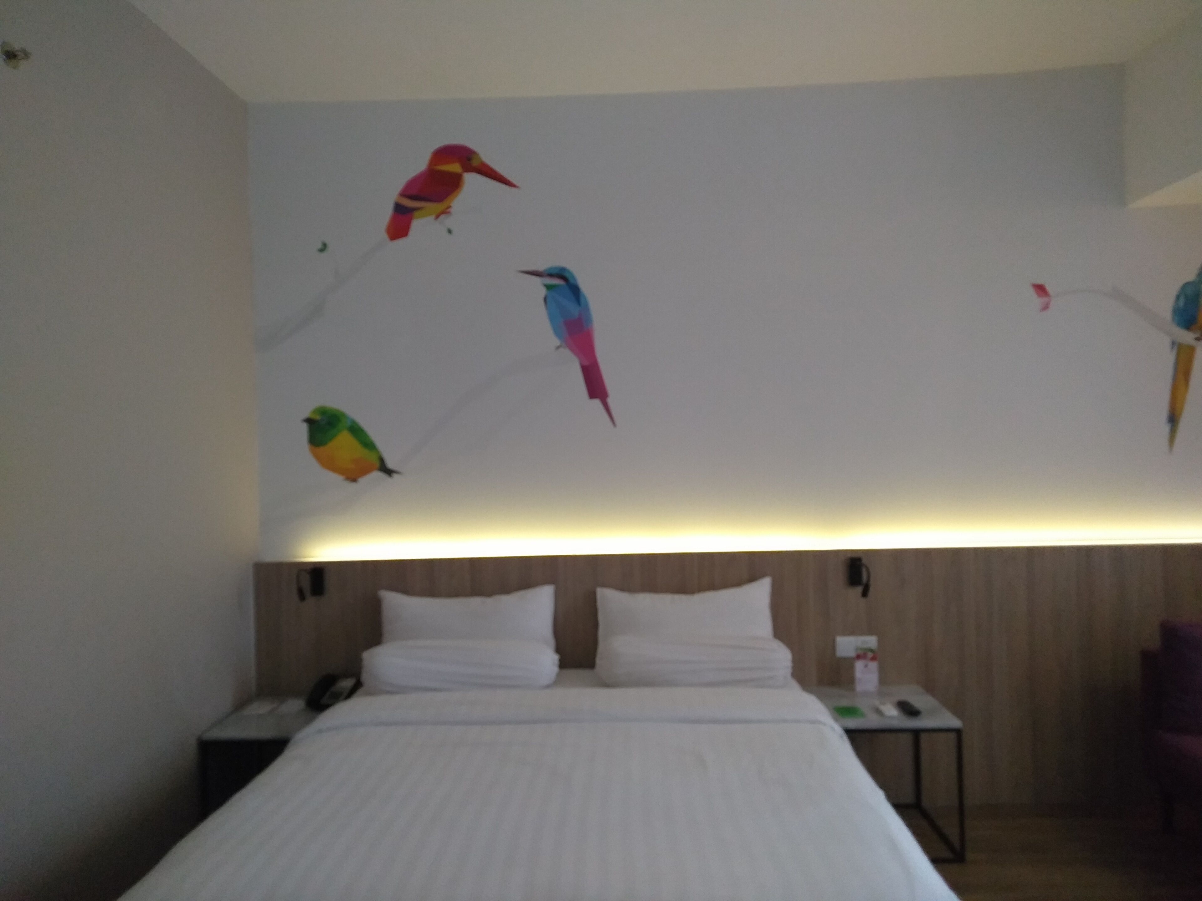A hotel room with a bed, white pillows, a nightstand, and a wall with colorful bird murals.