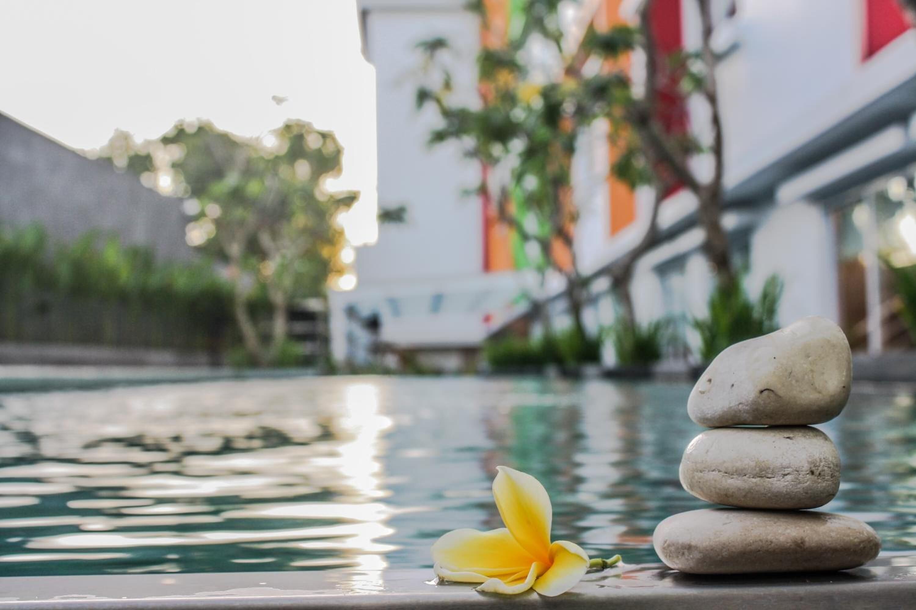 A stack of stones and a yellow flower on a poolside.