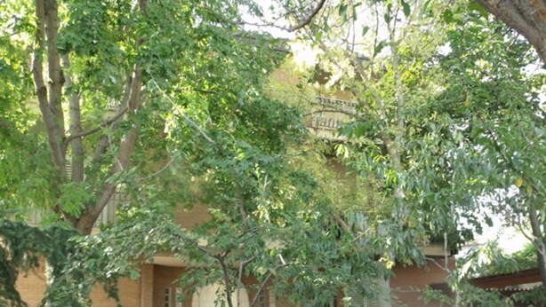 A building with a brick facade, a white door, and a small garden with rocks and trees. - Villa Palma (Avella)