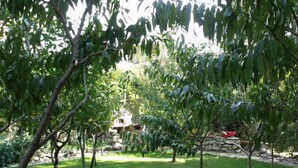 A well-maintained garden with various trees and a stone wall in the background. - Villa Palma (Avella)