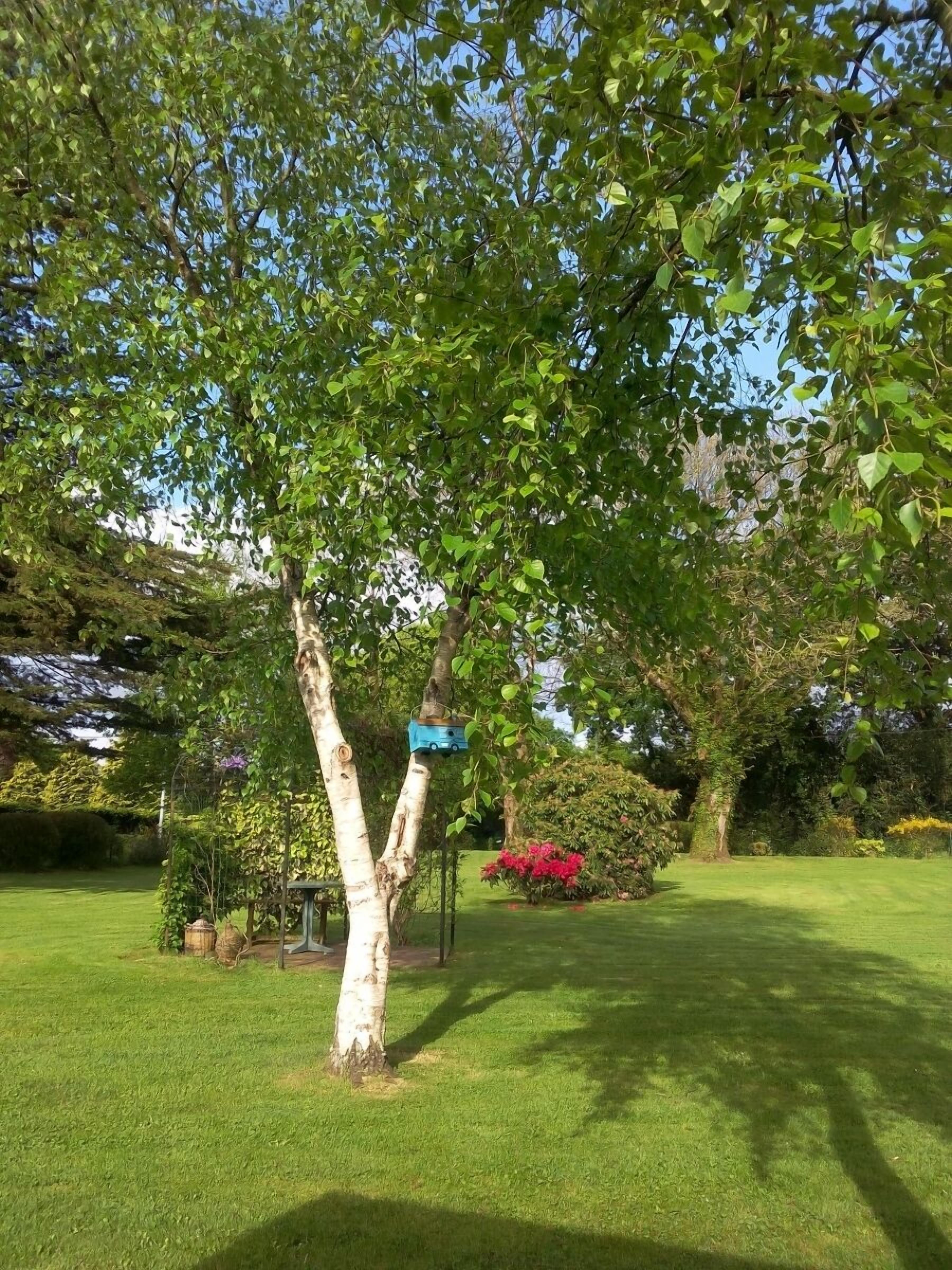 A well-maintained garden with a variety of trees, a bird feeder, and a neatly trimmed lawn.