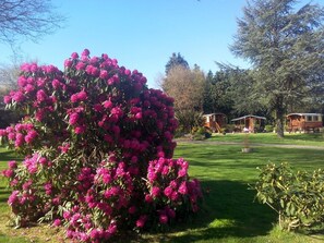 Property grounds - La Clé des Roulottes Campsite (Pluvigner)