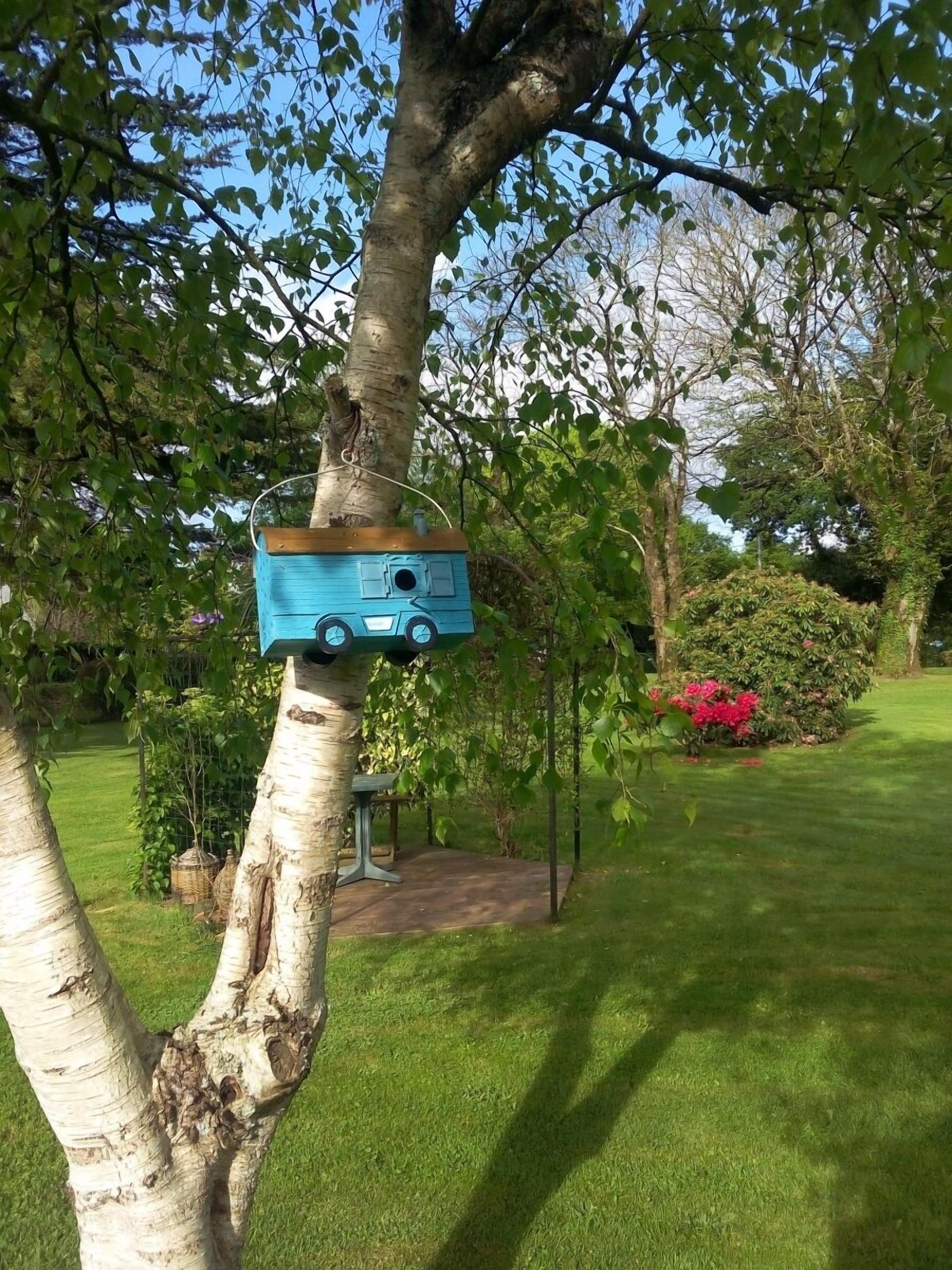 Un árbol con un comedero azul para pájaros colgado.