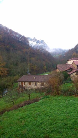 Property grounds - Hostal Puente Deva (Camaleno)