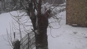 Property grounds - Hostal Puente Deva (Camaleno)