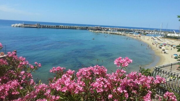 Une vue sur la côte, avec une jetée qui s’avance dans la mer, une plage de sable et des fleurs roses au premier plan.