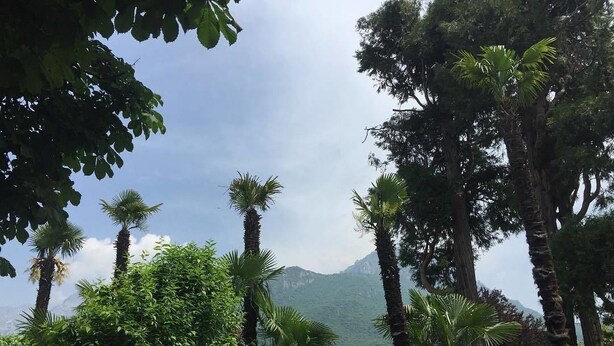 View from property - Le Coccinelle Bed & Breakfast (Mandello del Lario)