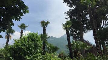 Pemandangan dari properti