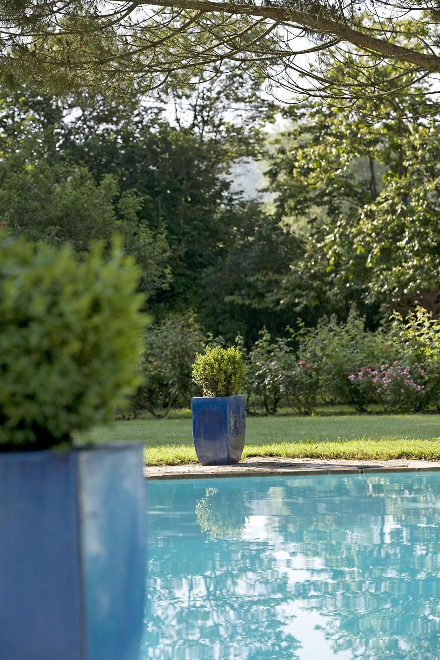 outdoor pool, pool loungers