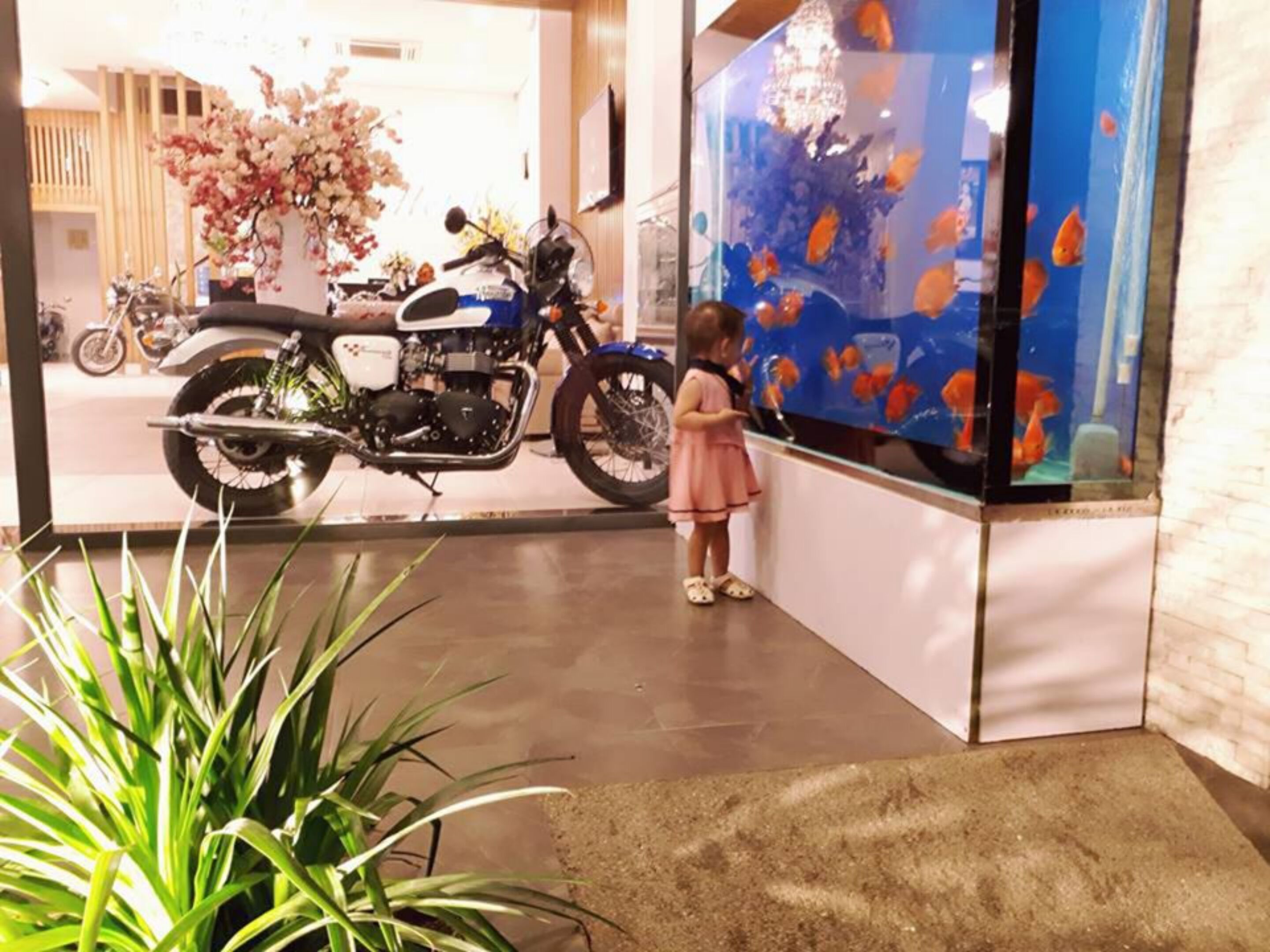 children’s activities