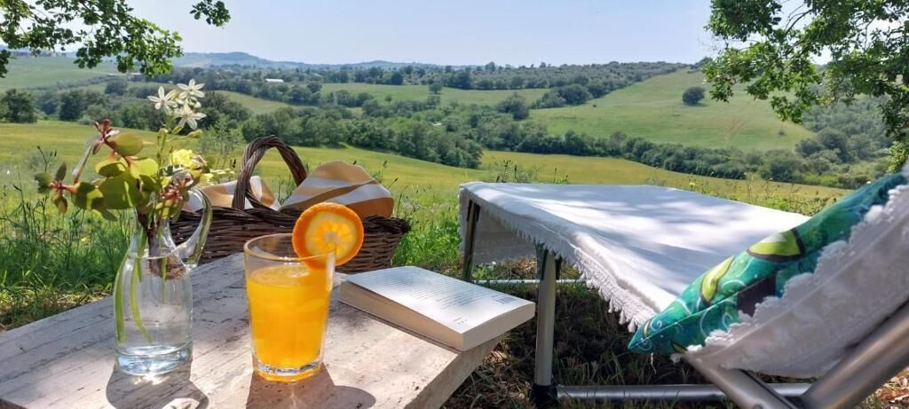 A picnic setup with a table, a glass of orange juice, a book, and a basket with flowers.