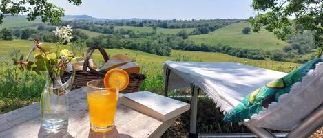 A picnic setup with a table, a glass of orange juice, a book, and a basket with flowers.