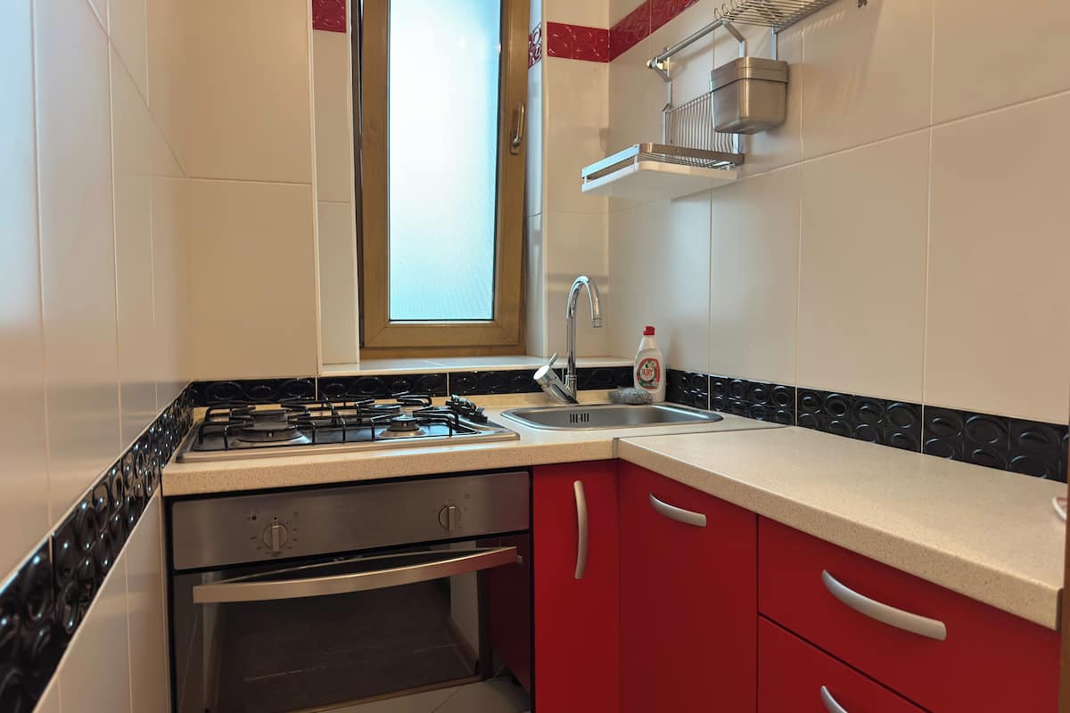 apartment | private kitchen | fridge, microwave, oven, cookware/dishes/utensils