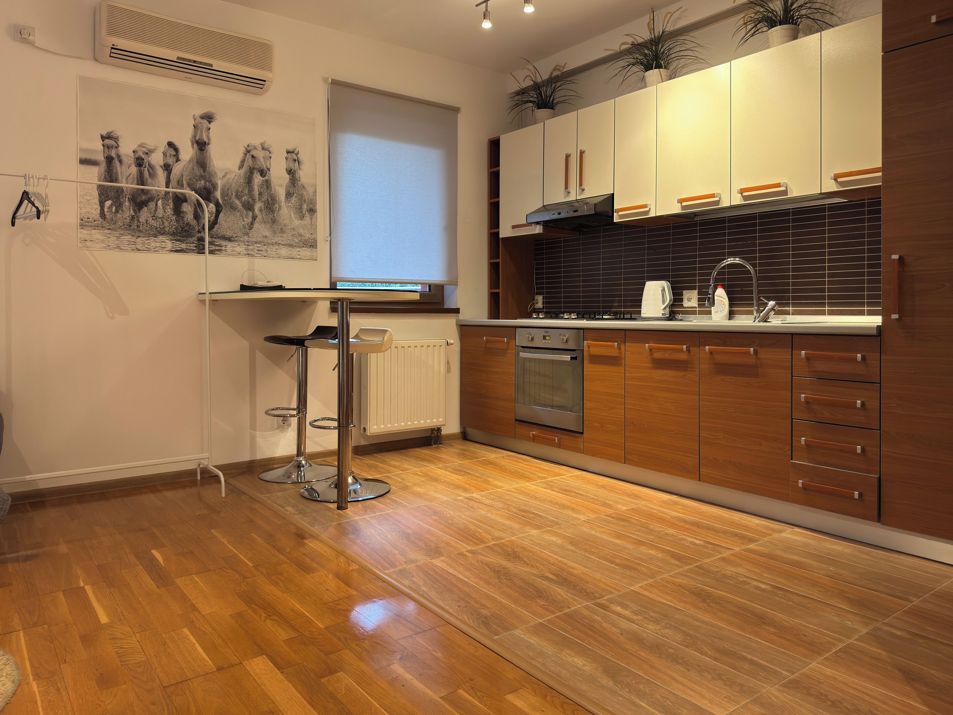 studio, balcony | private kitchen | fridge, microwave, oven, cookware/dishes/utensils