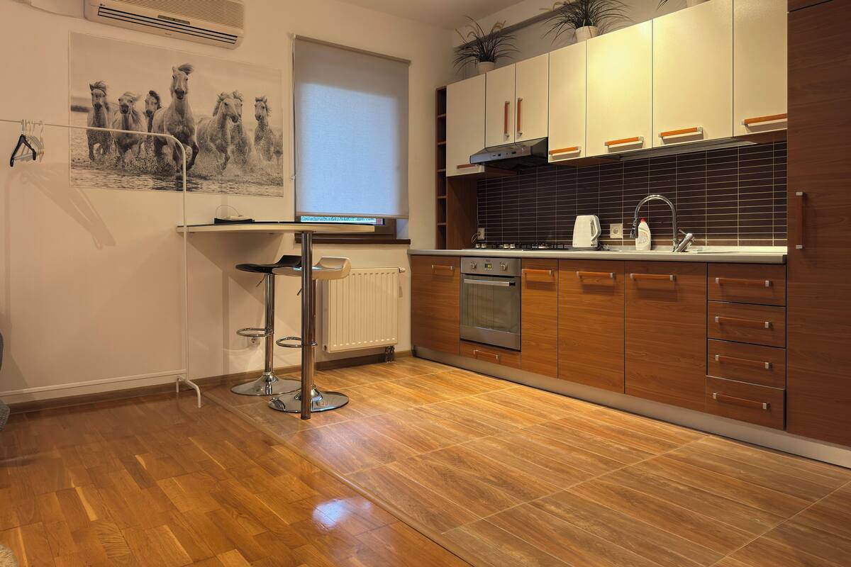 studio, balcony | private kitchen | fridge, microwave, oven, cookware/dishes/utensils