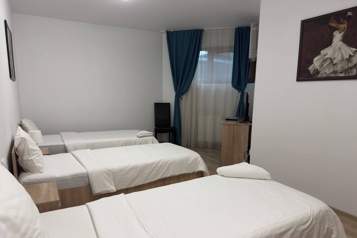 Una habitación de hotel con dos camas individuales, un escritorio de madera, un televisor y un cuadro en la pared.