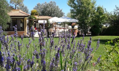 Fattoria Belvedere