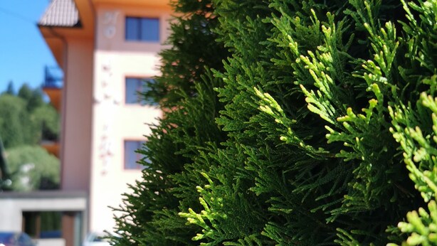 A building with a modern architectural style, featuring a flat roof and multiple windows. - Iri Busteni Hotel (Busteni)