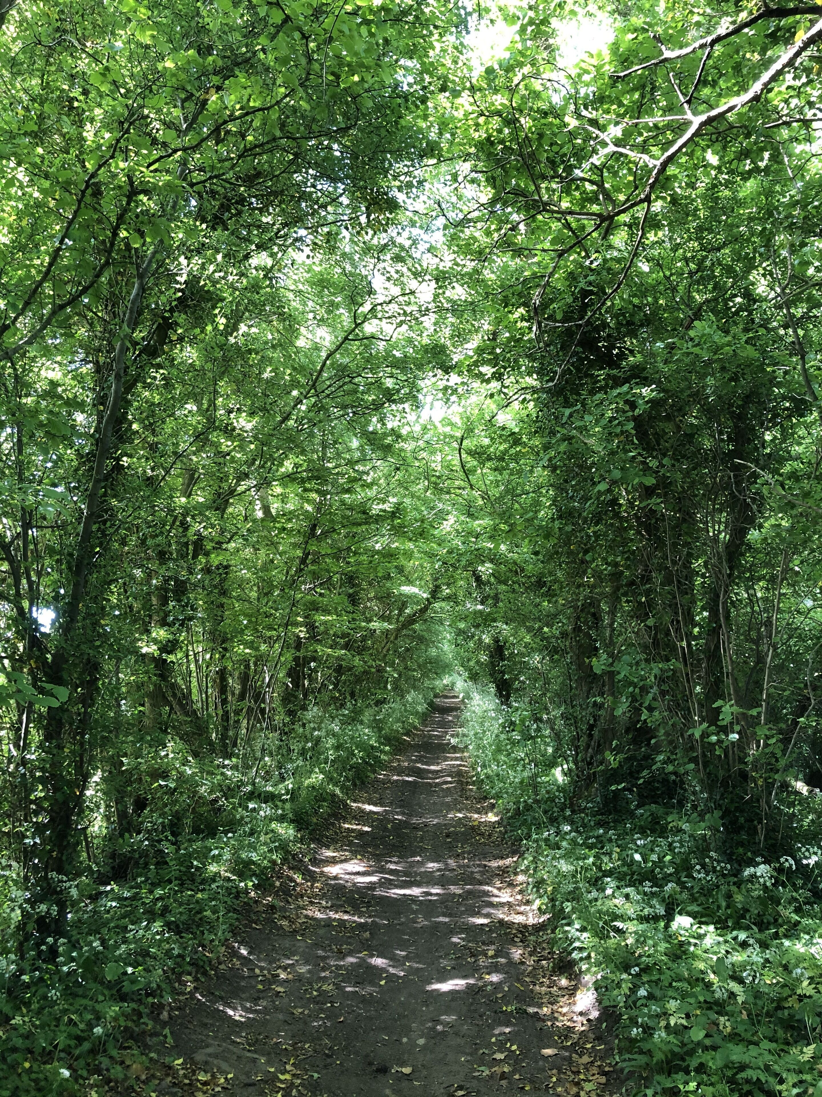 Foto - Devonshire House