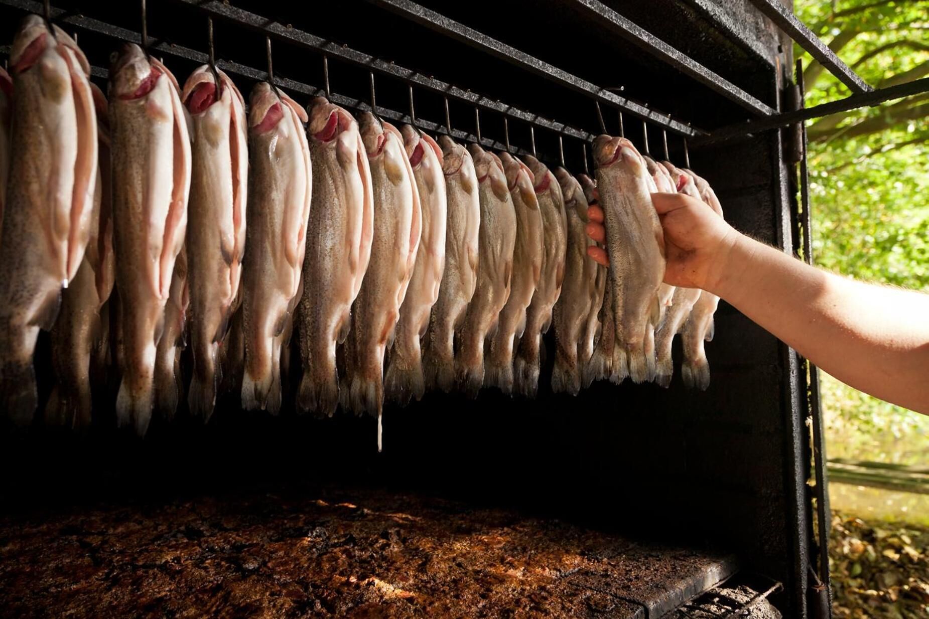 A person hanging fish on a rack inside a grill.