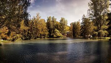 A serene lakeside setting with trees and a building in the background.