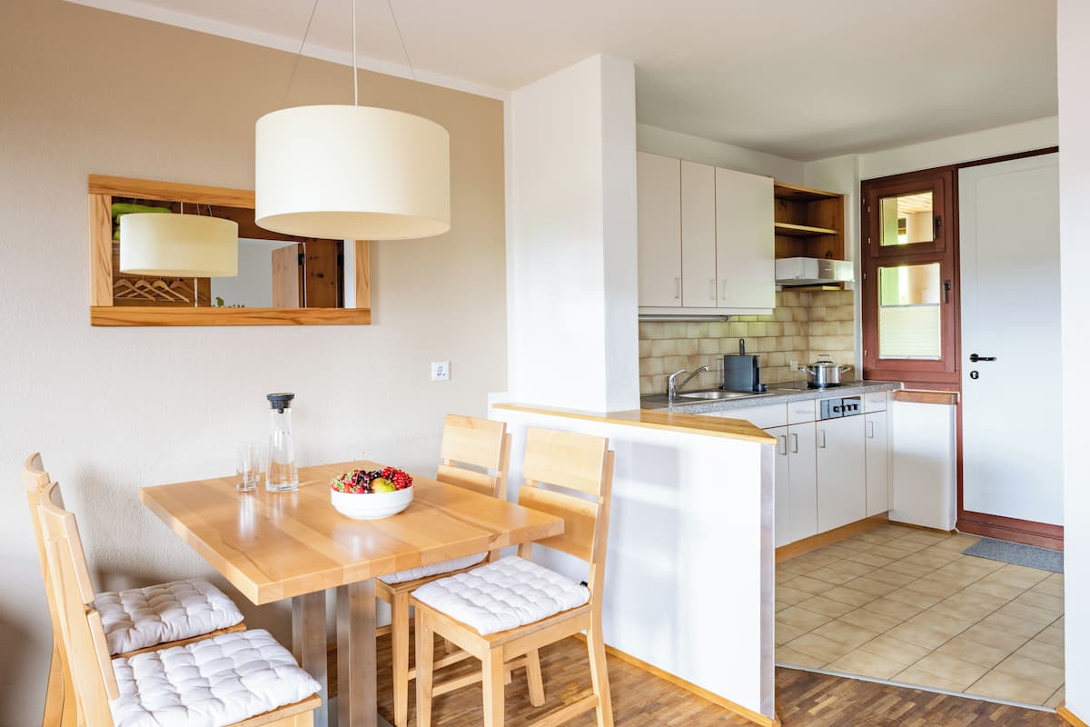 Appartamento | Una cassaforte in camera, postazione laptop, ferro/asse da stiro