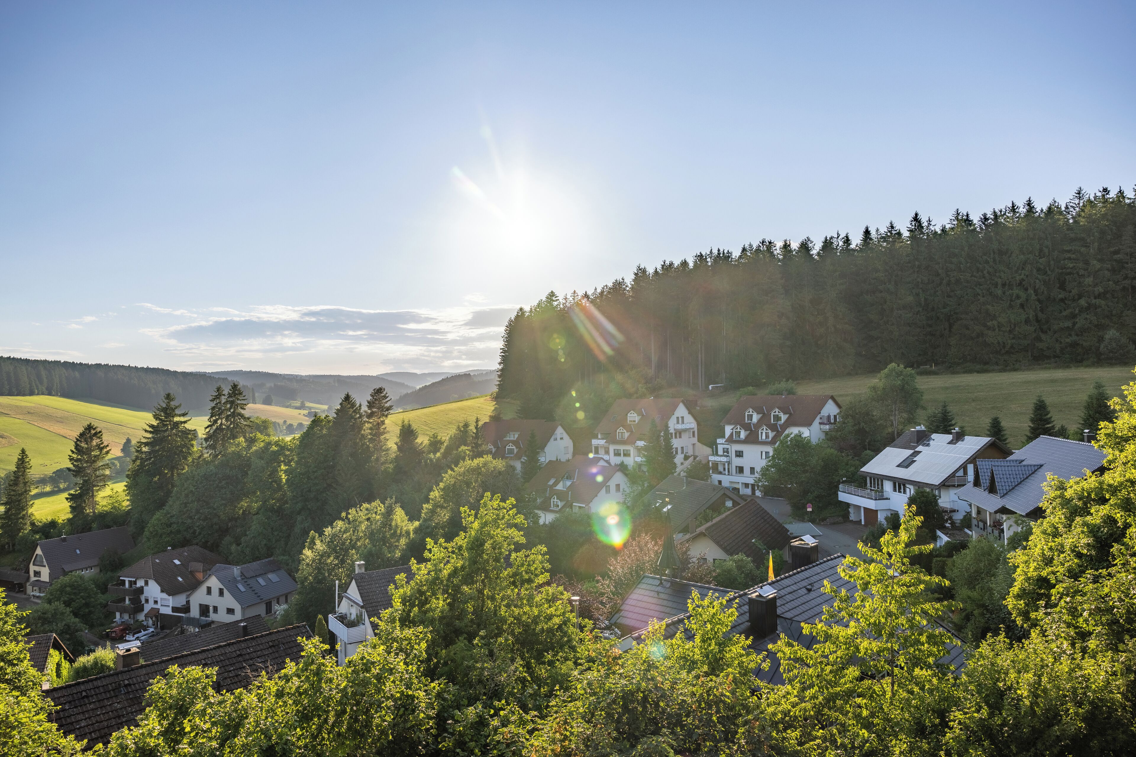 A village with houses surrounded by trees and a clear sky.
