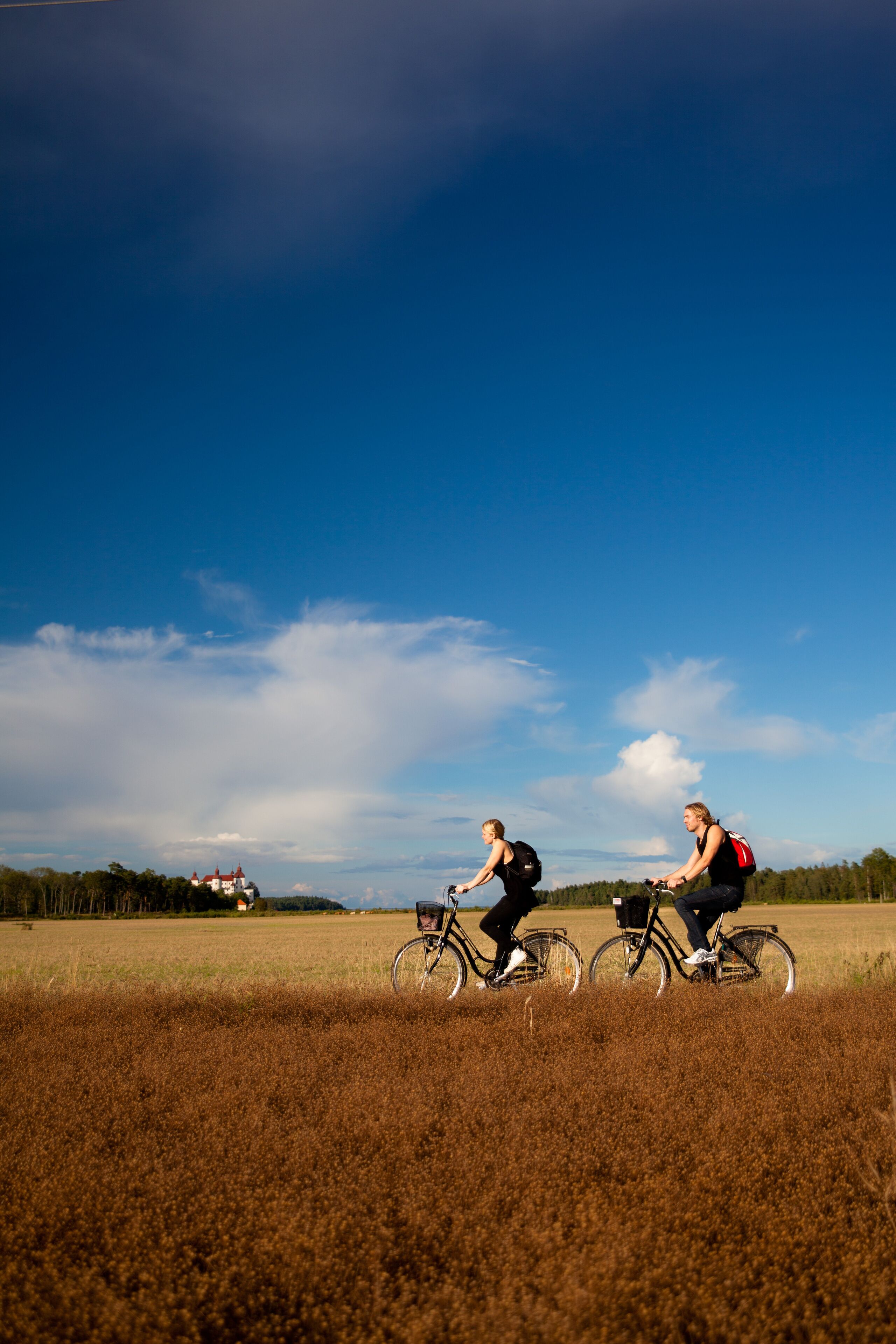 Two people riding bicycles in a field with a clear sky.