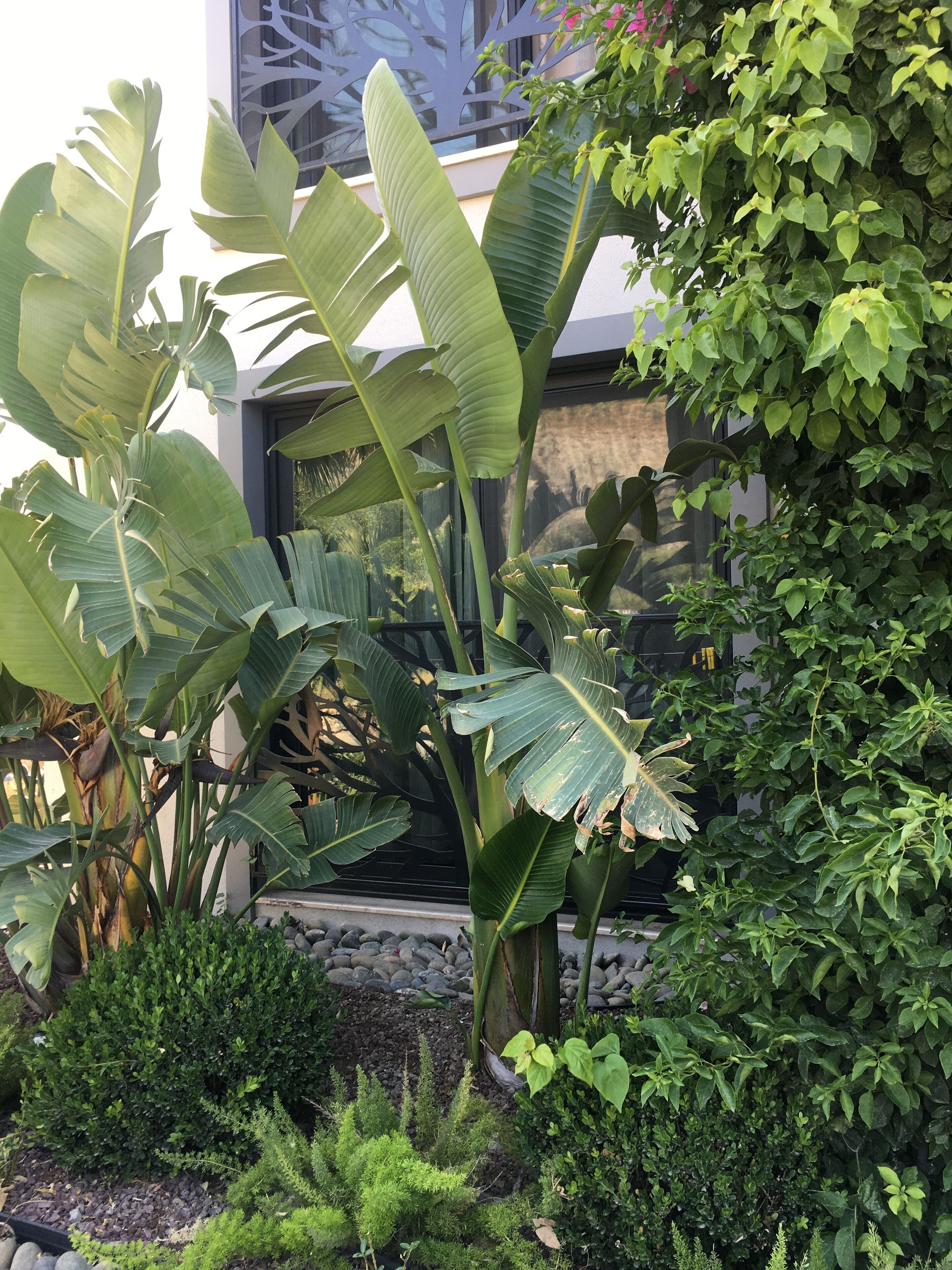 madnasa room | view from room