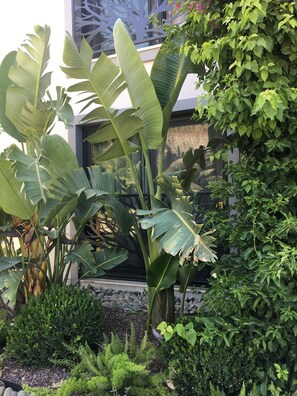 Madnasa Room | 客房景观