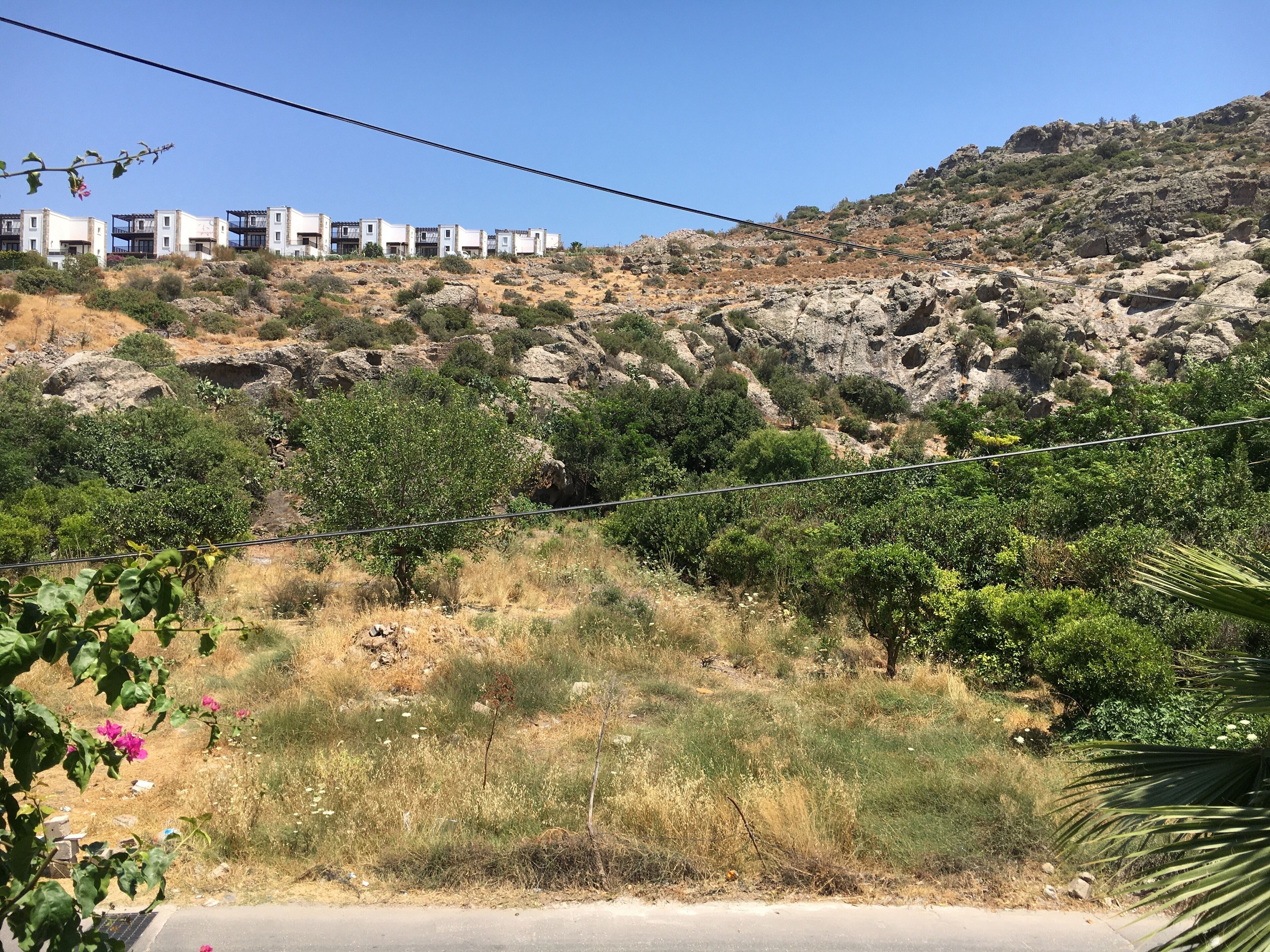 pedesa room | view from room