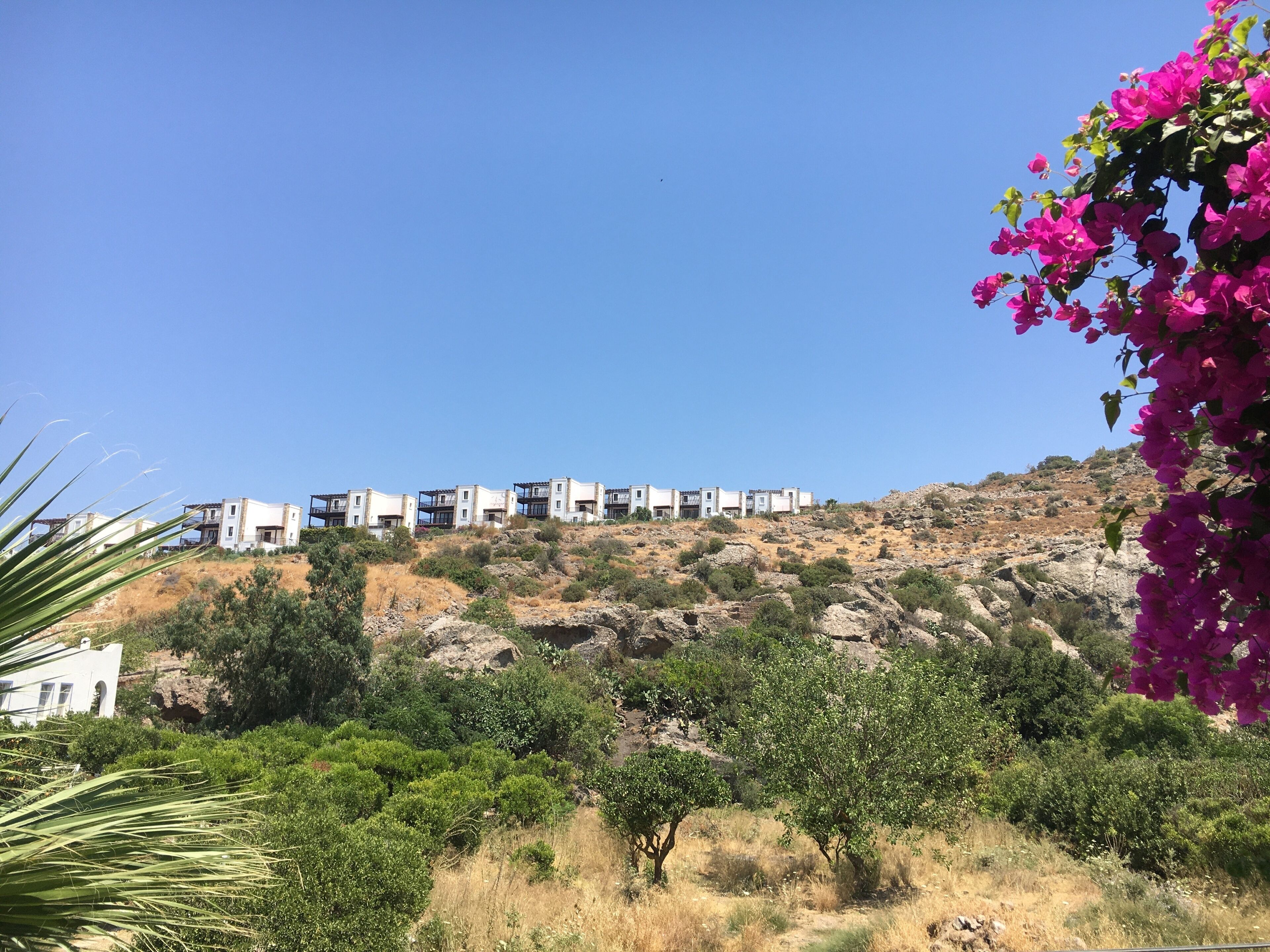 pedesa room | view from room