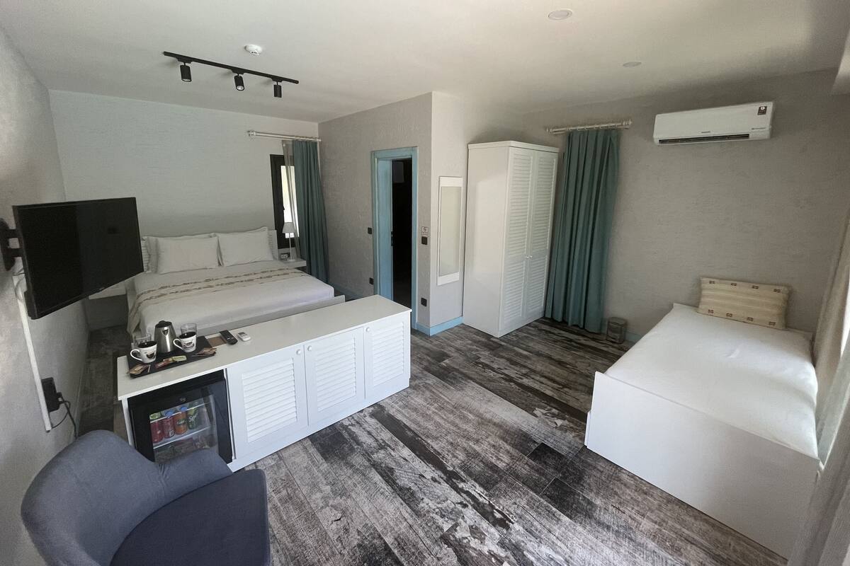 Une chambre d’hôtel comprenant un lit, un bureau avec une télévision, une armoire, un petit coin salon et un appareil de climatisation.