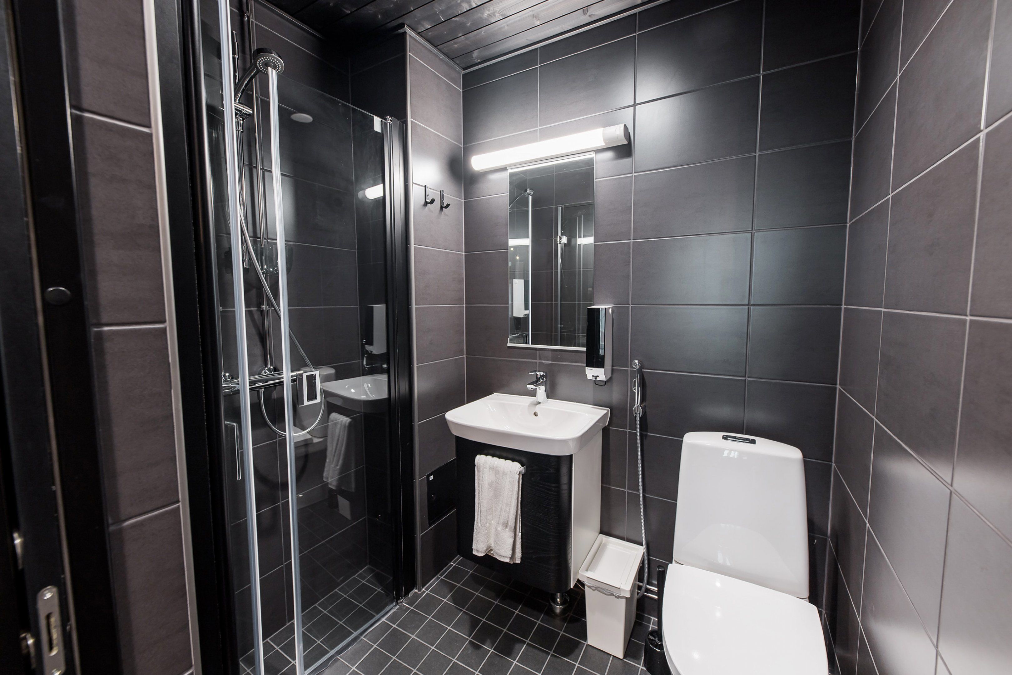 Ein modernes Badezimmer mit einer Duschkabine aus Glas, einem weißen Waschbecken und einer Toilette.