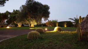 A landscaped garden with cacti and trees, illuminated by ambient lighting. - Tenuta Cavalieri (Leverano)
