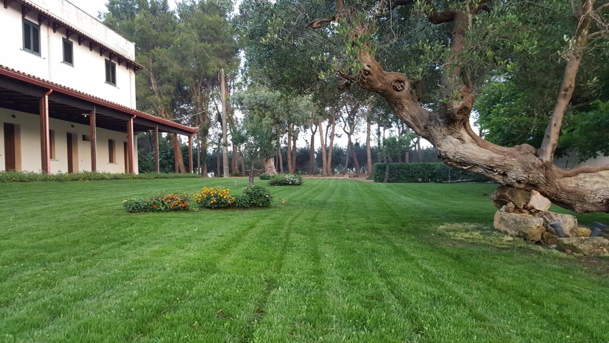 A well-maintained lawn with a large tree in the foreground, a building with a tiled roof and columns, and a row of trees in the background.