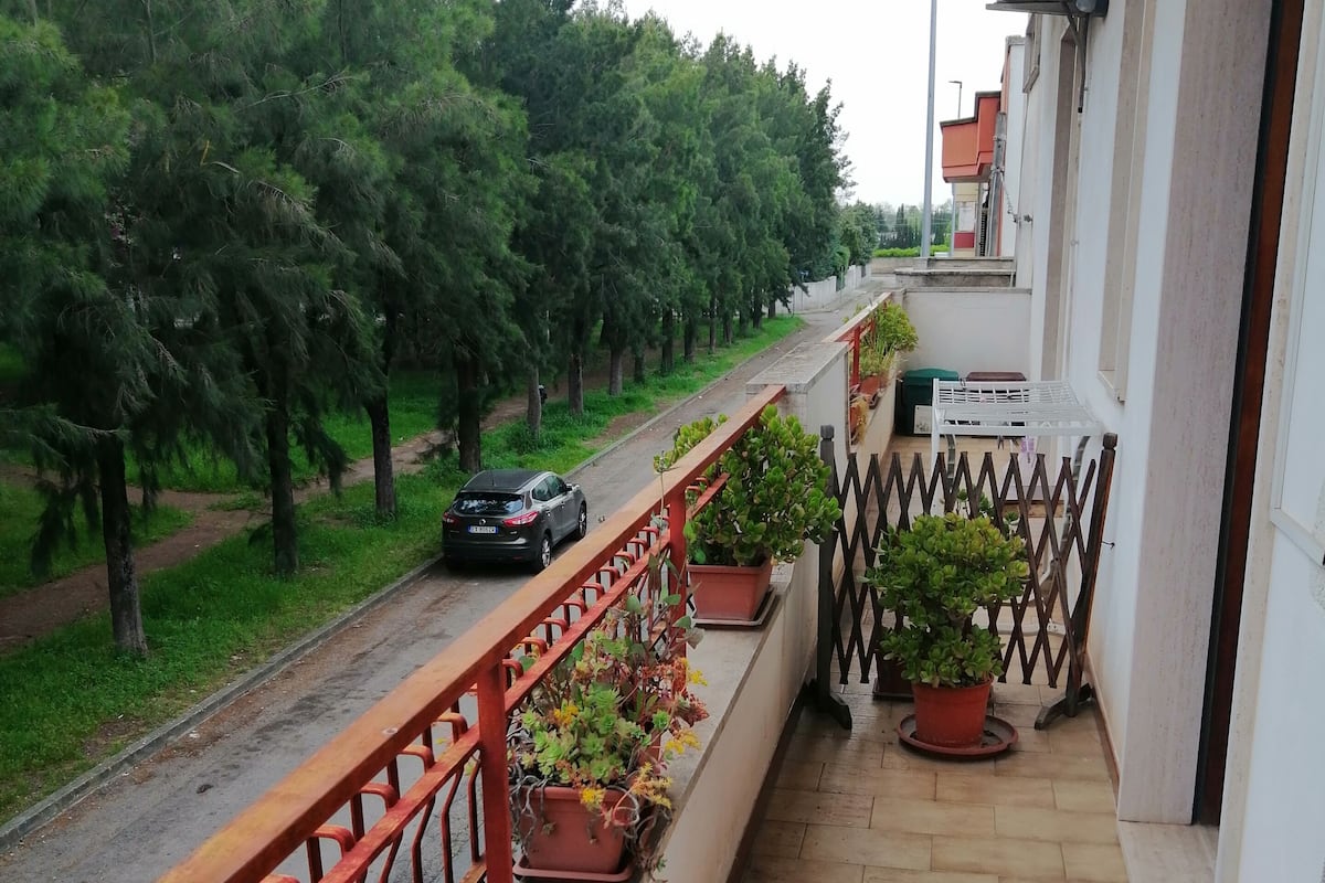 Basic Double Room, 1 King Bed, Park View