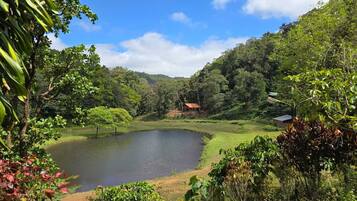 Un lago tranquilo rodeado de exuberante vegetación y un edificio pequeño a lo lejos.