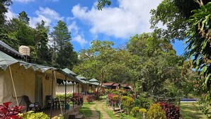 A garden pathway leading to a row of tents with outdoor seating. - Three Hills Resort & Spa, Coorg (Madikeri)
