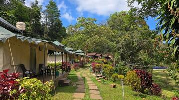 Vista para a região