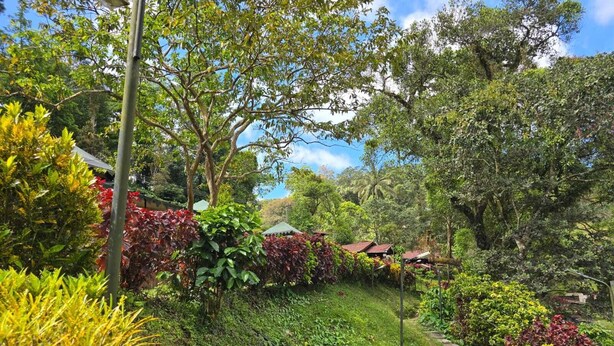 A lush garden with a variety of plants and trees, a stone pathway, and a small structure with a red roof. - Three Hills Resort & Spa, Coorg (Madikeri)