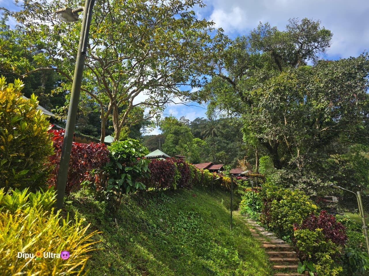 Un exuberante jardín con un sendero que lleva a un edificio de techo rojo.