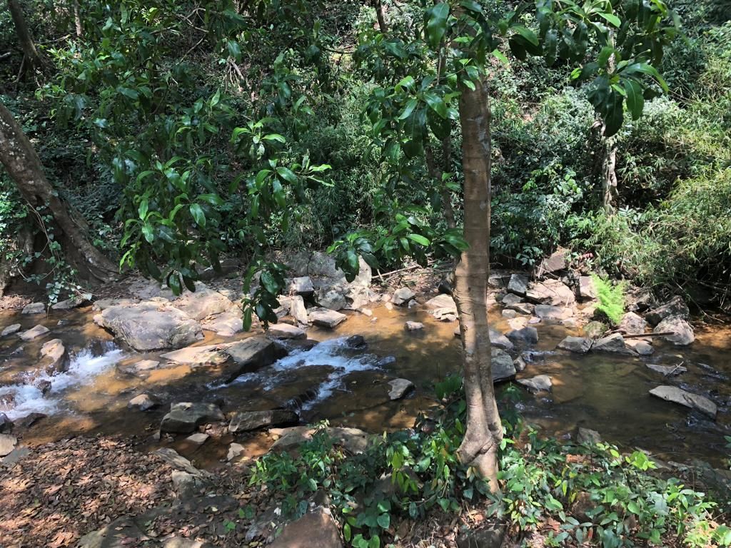 Un arroyo natural con rocas y vegetación.