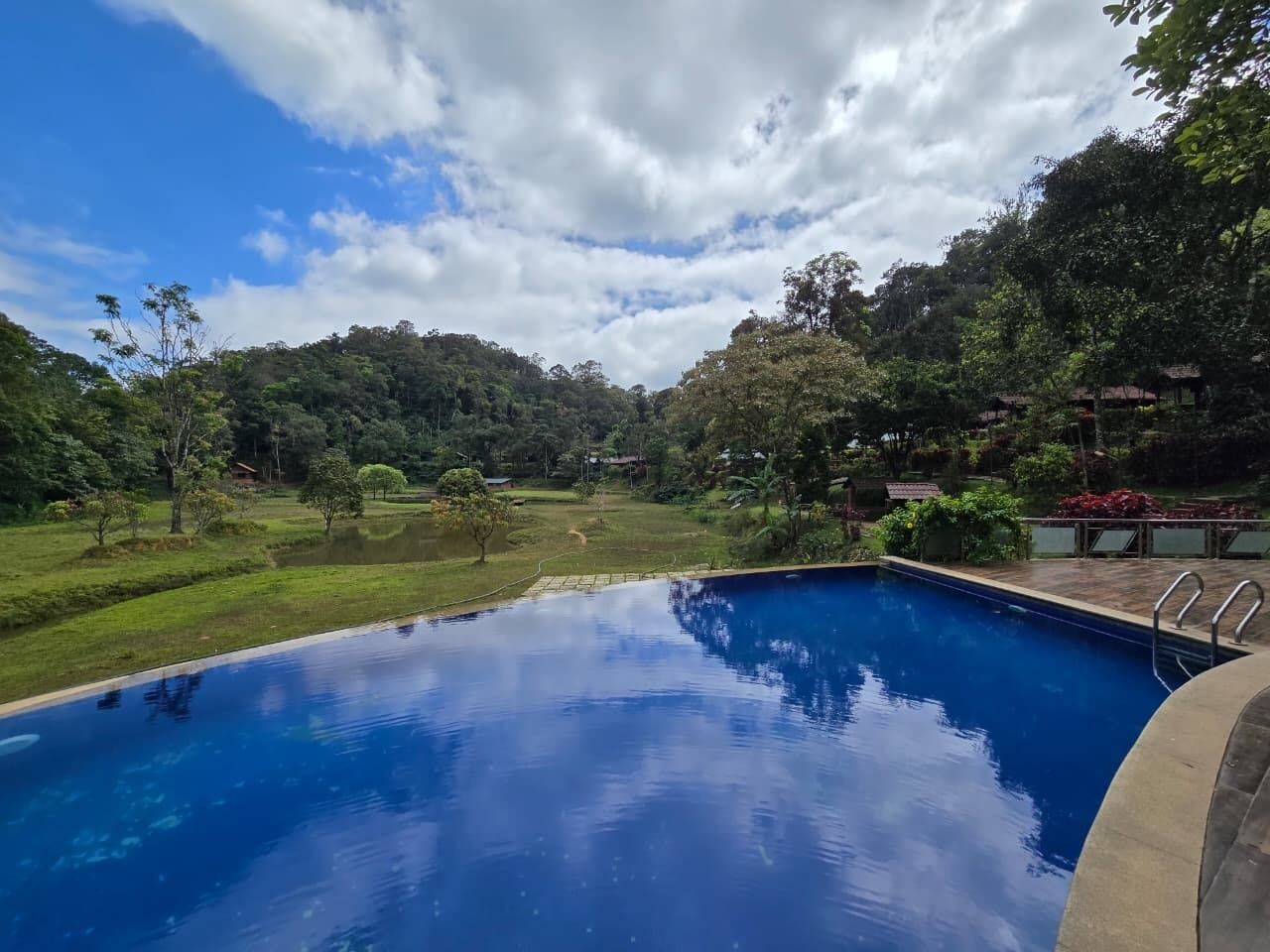A clear blue pool surrounded by lush greenery and trees.