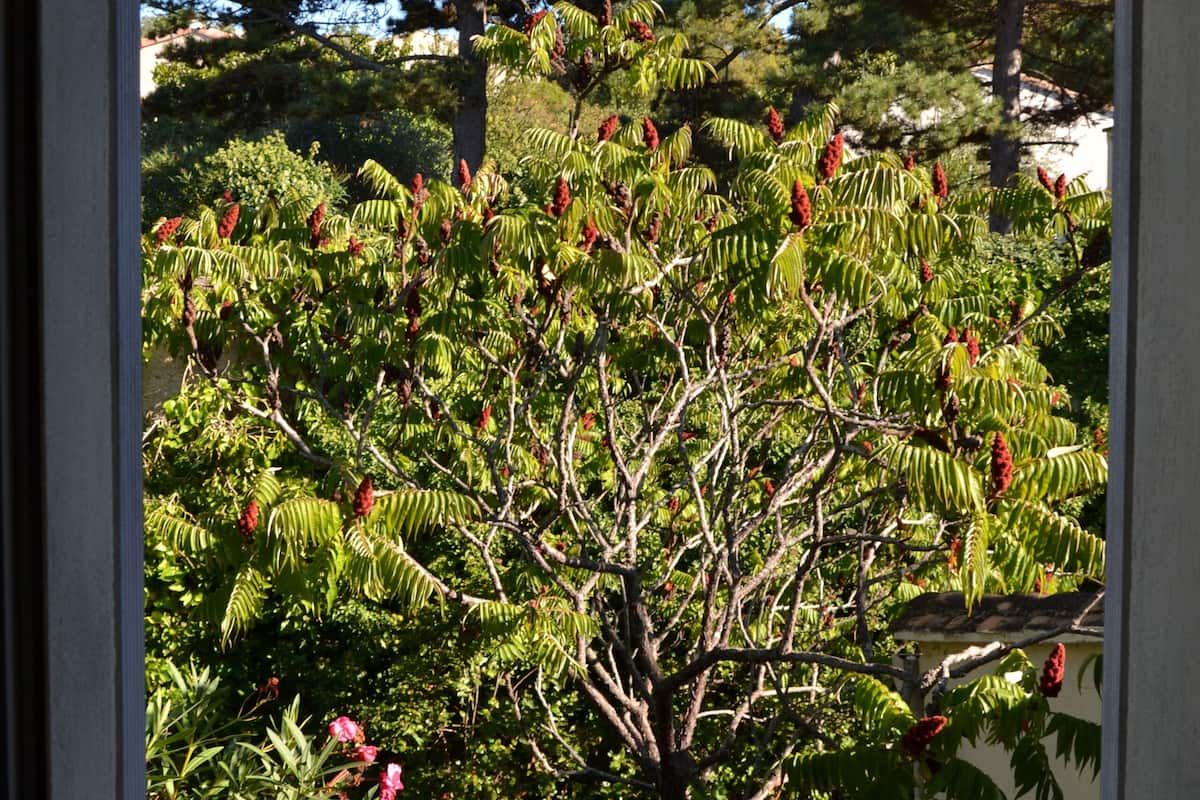 Premium bedding, memory foam beds, desk, blackout drapes