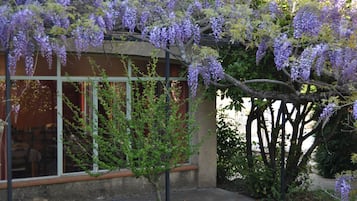 Uitzicht vanuit accommodatie