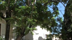 An outdoor cafe with tables and chairs, surrounded by trees and a building with a balcony. - Hotel Du Fiacre (Carpentras)